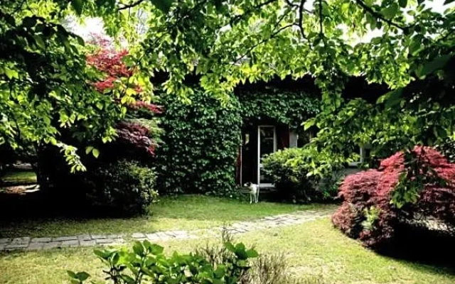 B&B LAlbero Maestro