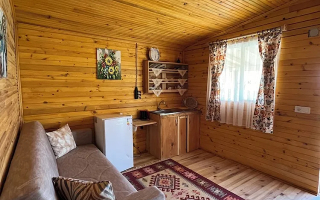 Afera Koy Evi