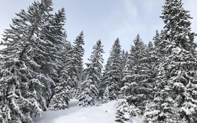 Hotel Mondschein & Chalet Mondschein