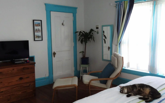 The One Cat B&B