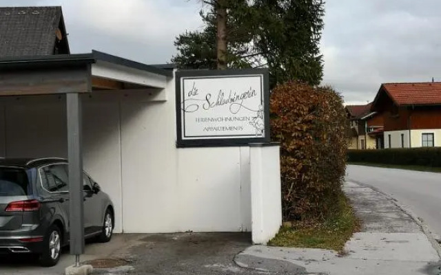 Die Schladmingerin