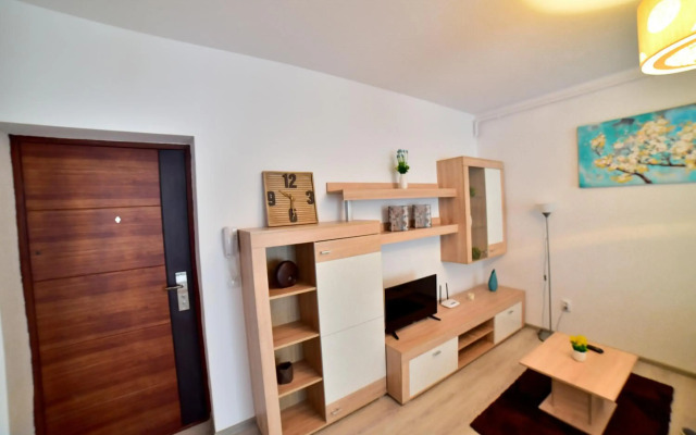Apartament Central Silva
