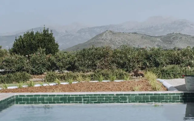 Finca Palmera