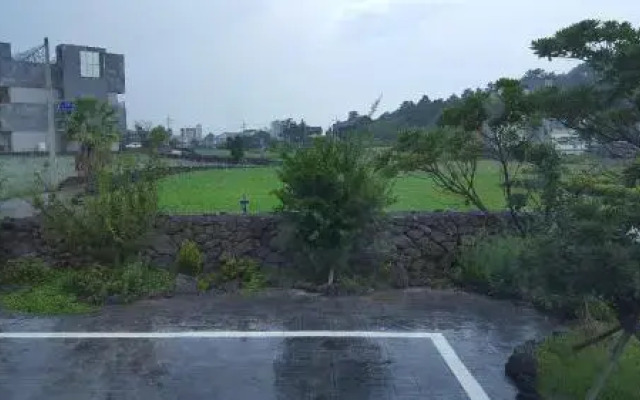 Oh Happy Day Jeju