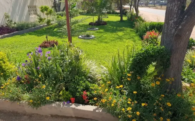 The Oasis Evergreen Lodge