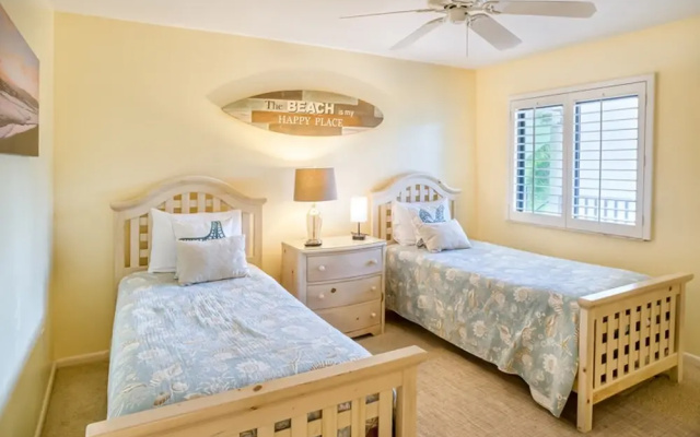 Loggerhead 282