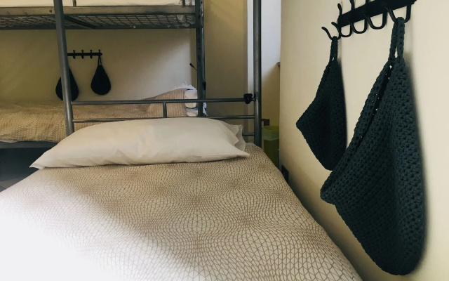 The Beehive Hostel