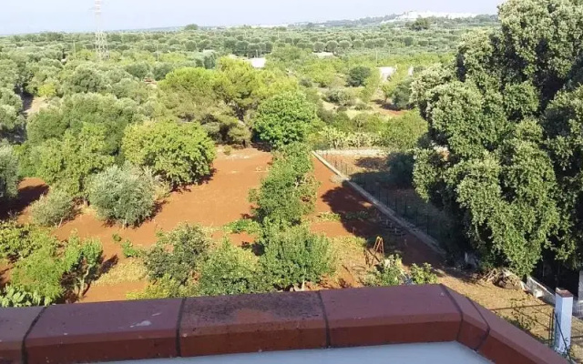Villa Mediterranea tra gli ulivi