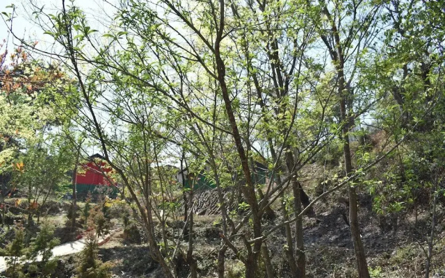 Camp Lagoon and Cottage