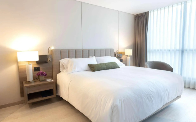 York Medellin, Curio Collection by Hilton