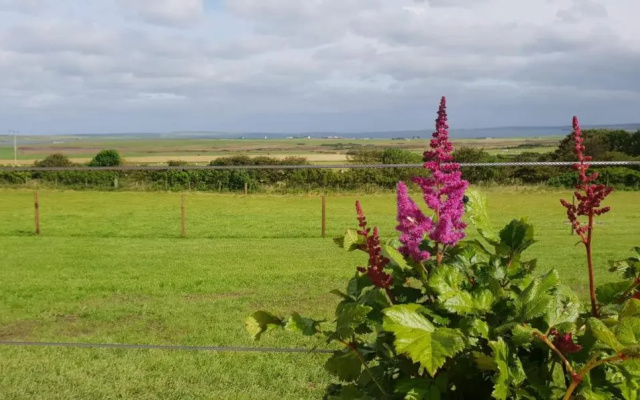 Lilly's Lodges Orkney Hedgehog Lodge