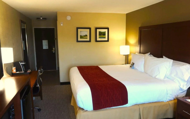 Comfort Inn & Suites Greenwood near University