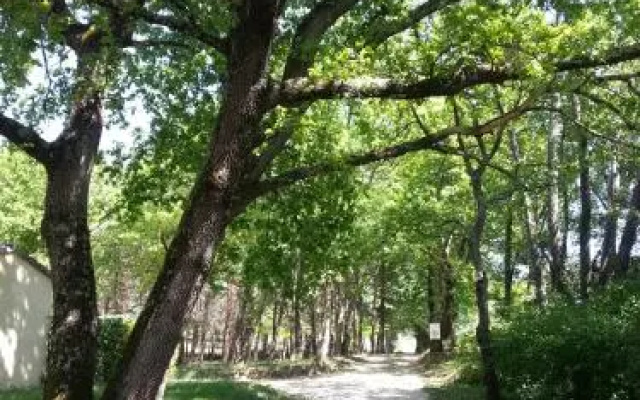 Camping Parc Saint Sauvayre