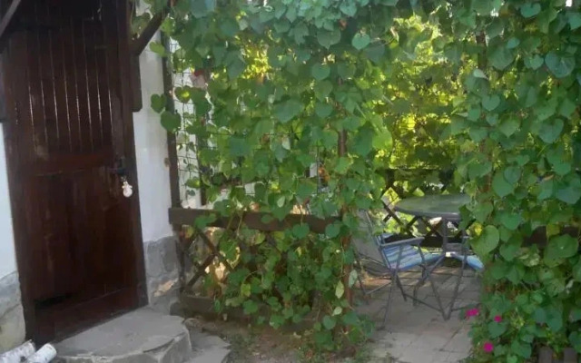 Persikovaya Polyana