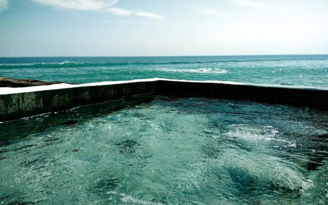 rock n reef