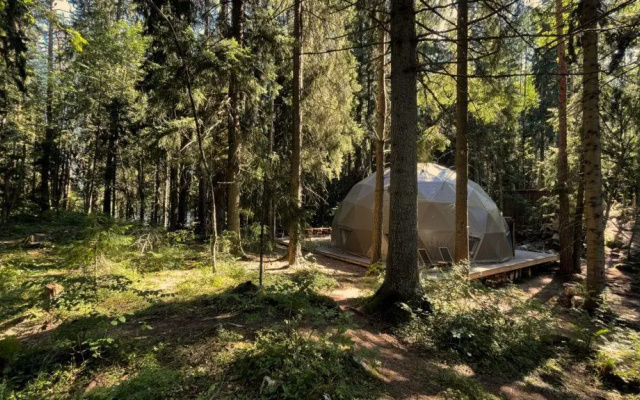 Вили Улей Карелия