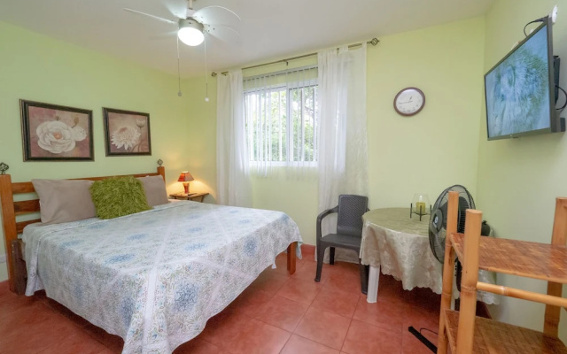 Charming Mountain View Alta Vista