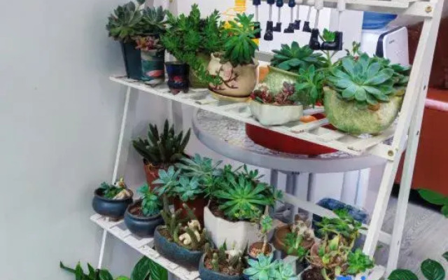 Ruolanbieyuan Homestay (Phoenix Ancient City Store)
