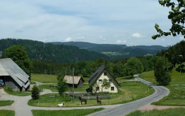 Holiday Apartment Tannenblick