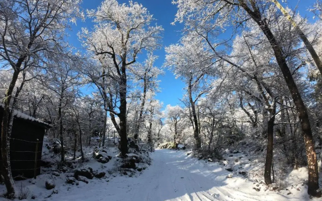 Chillán House