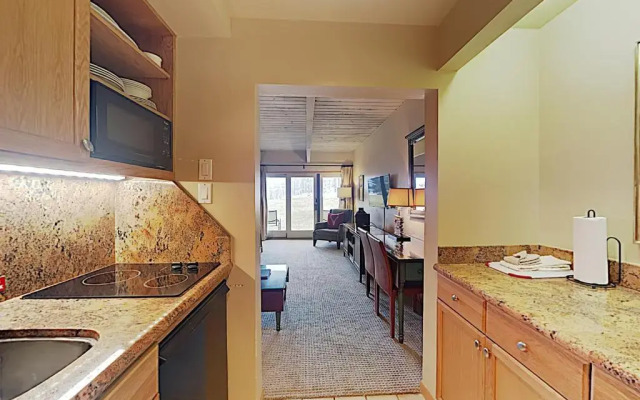 Timberline Condominium Studio Deluxe Unit 117