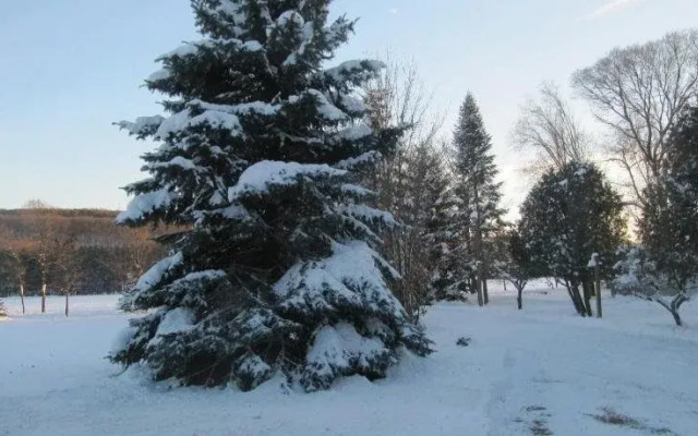 Sequel Inn Creemore