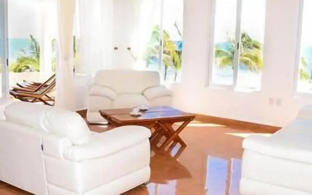 Ammaris Suite