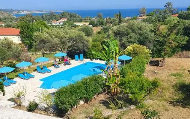 Anemona studio 2