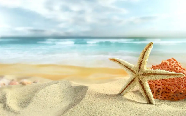 Apartamento Island Village