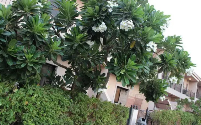 Roze Abhur Furnished Villas