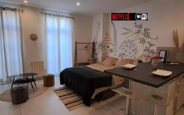 Les Arcades Studio Coeur de Ville, Cholet, Wi-fi, Netflix, Canal+