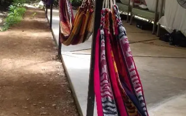Bolita Rainforest Hostel and Cabinas