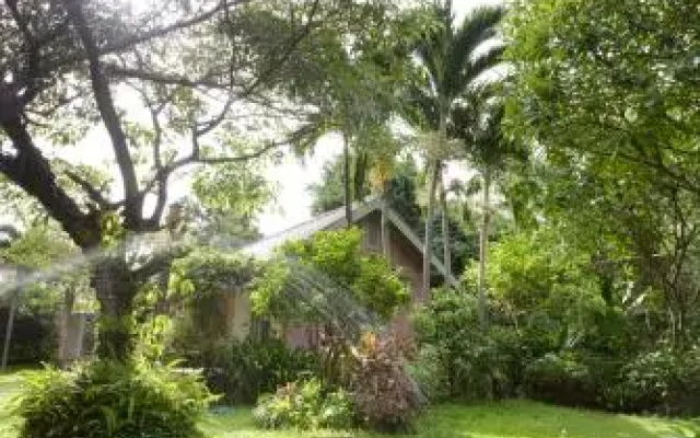 Baan Kratom Tong by the sea