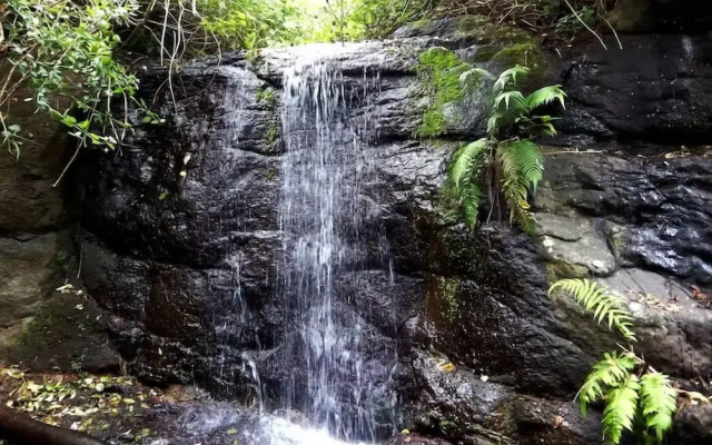 Riverbend Byron Hinterland Retreat