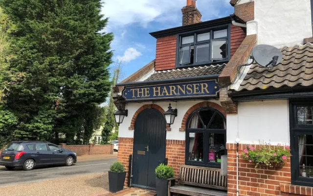 The Harnser