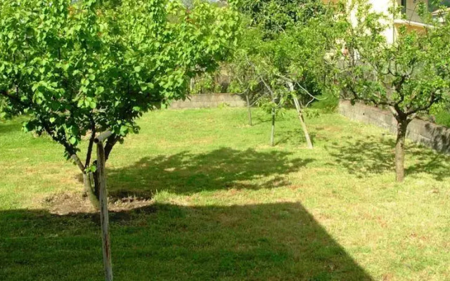 Villa Vera