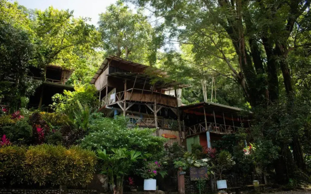 Hostel Plinio