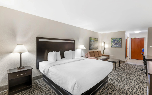 Best Western Plus McDonough Inn & Suites