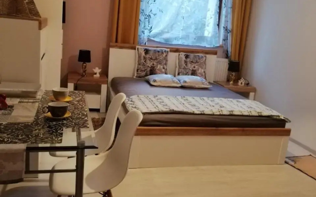 Zielona Oaza