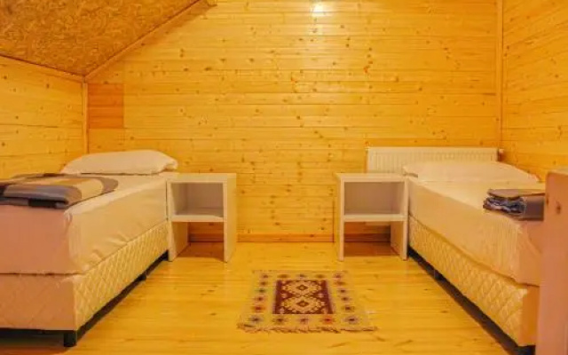 Shkreli Hotel Camp