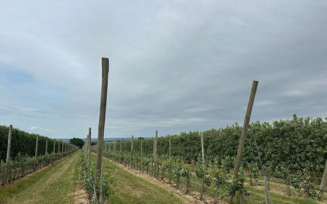 Lovely Holiday Home in Loire for 10