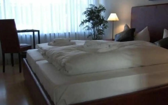 Hotel Am Park