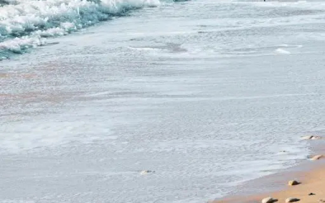 PlageDavid