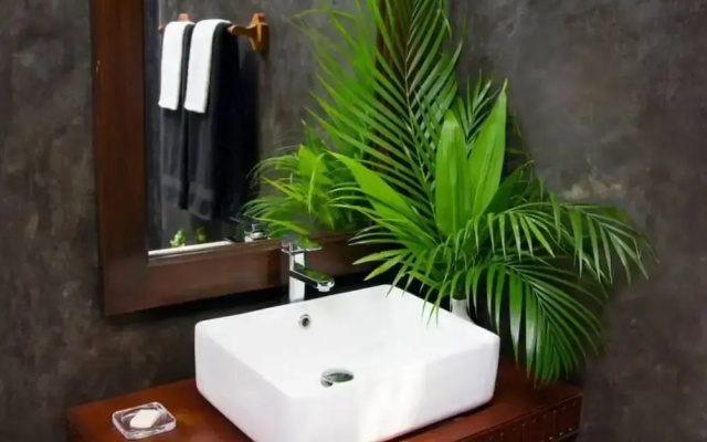 Vibration Villas