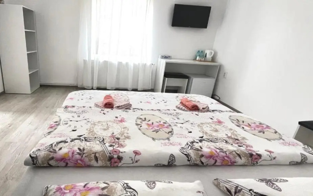 Apartament linistit / Cozy apartment