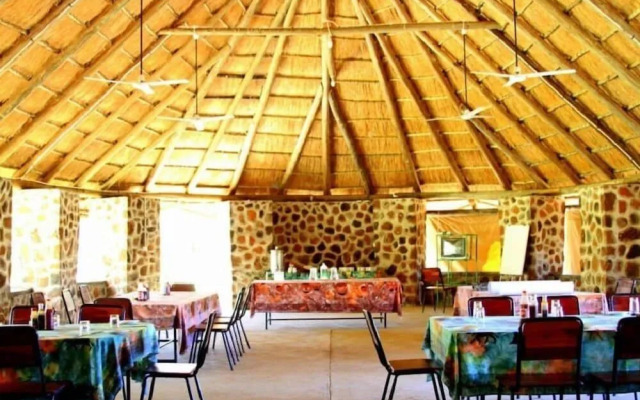 Dimba Safaris
