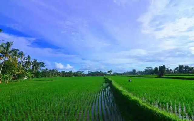 The Loyik Villa Ubud