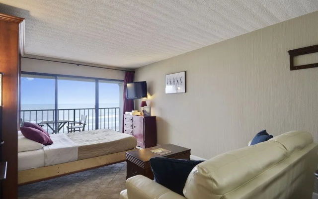 Panorama Palms