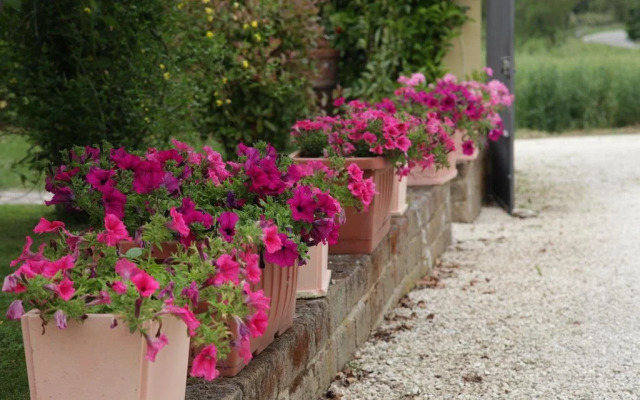 Rosemarie B&B