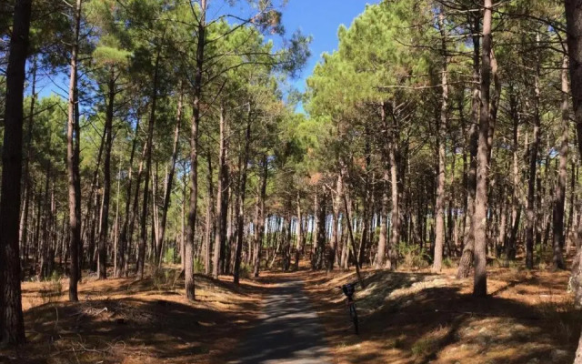 Lachanau Paradis